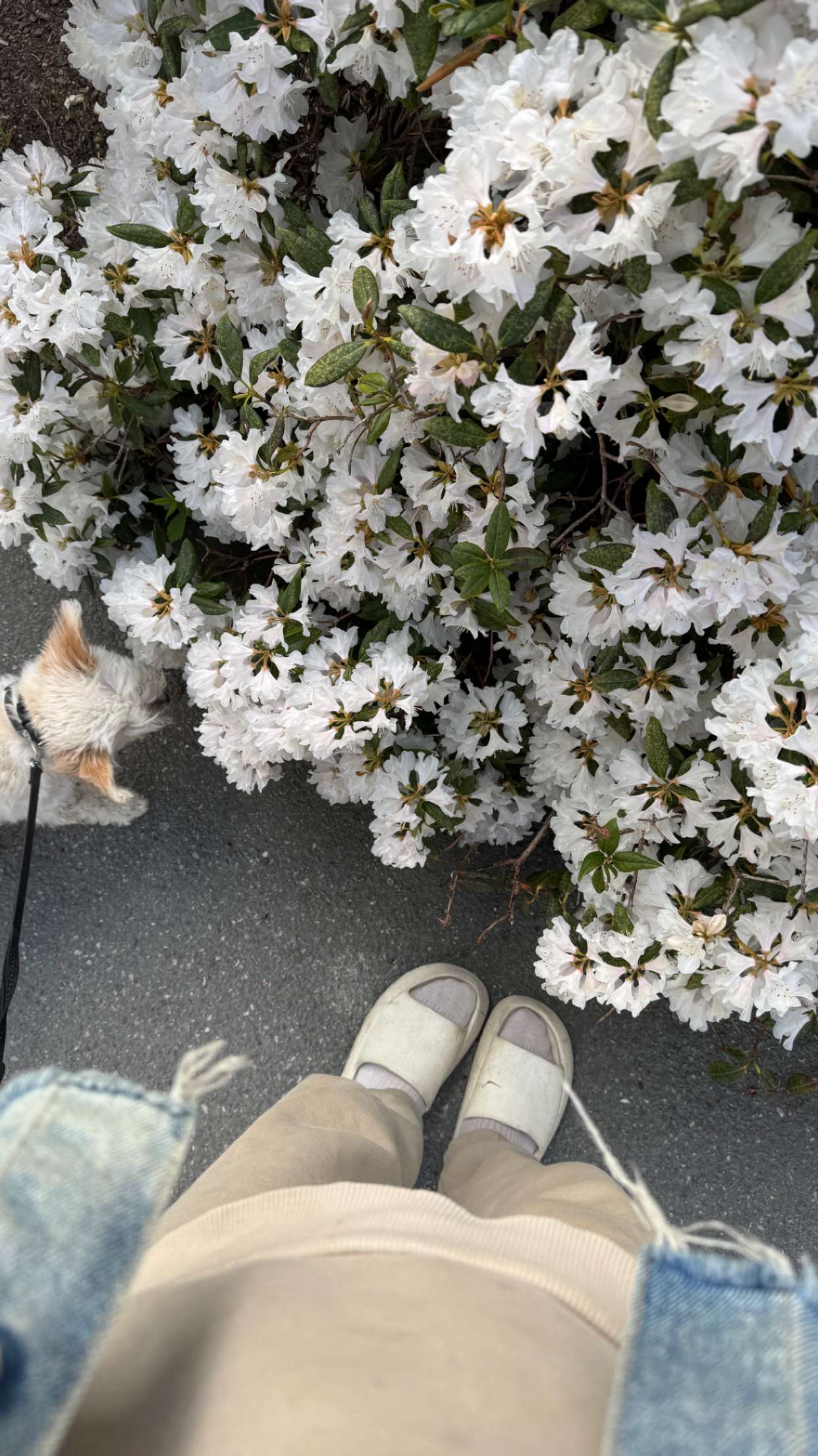 mathilda_bergs snapchat image archive image