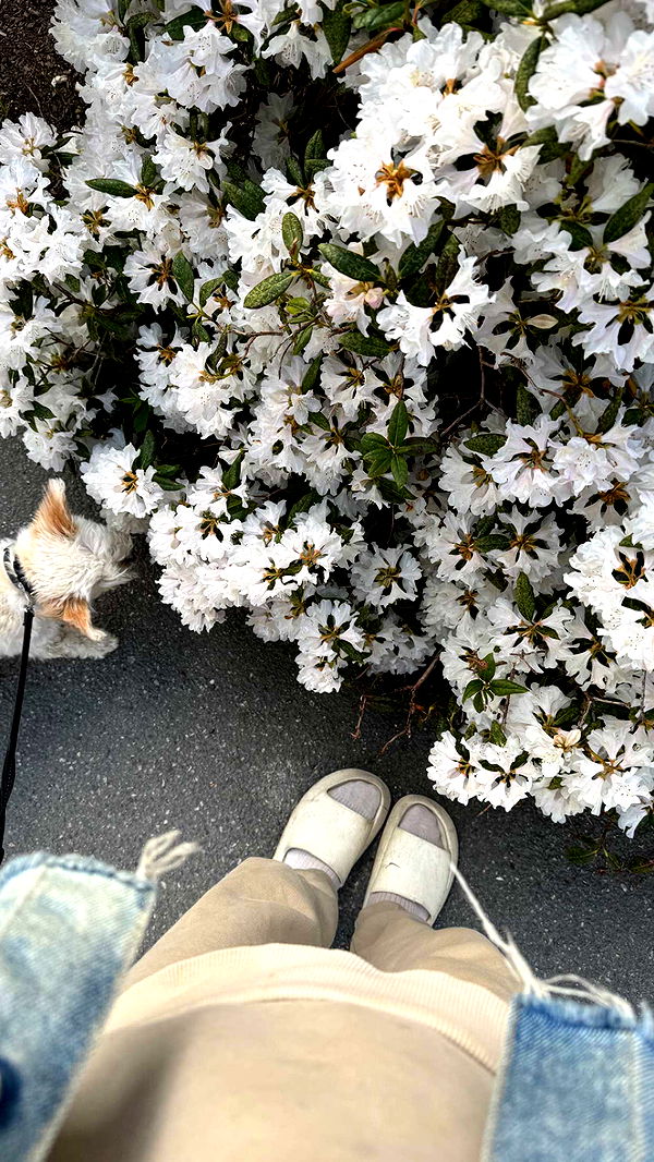 mathilda_bergs image ~ Altpins