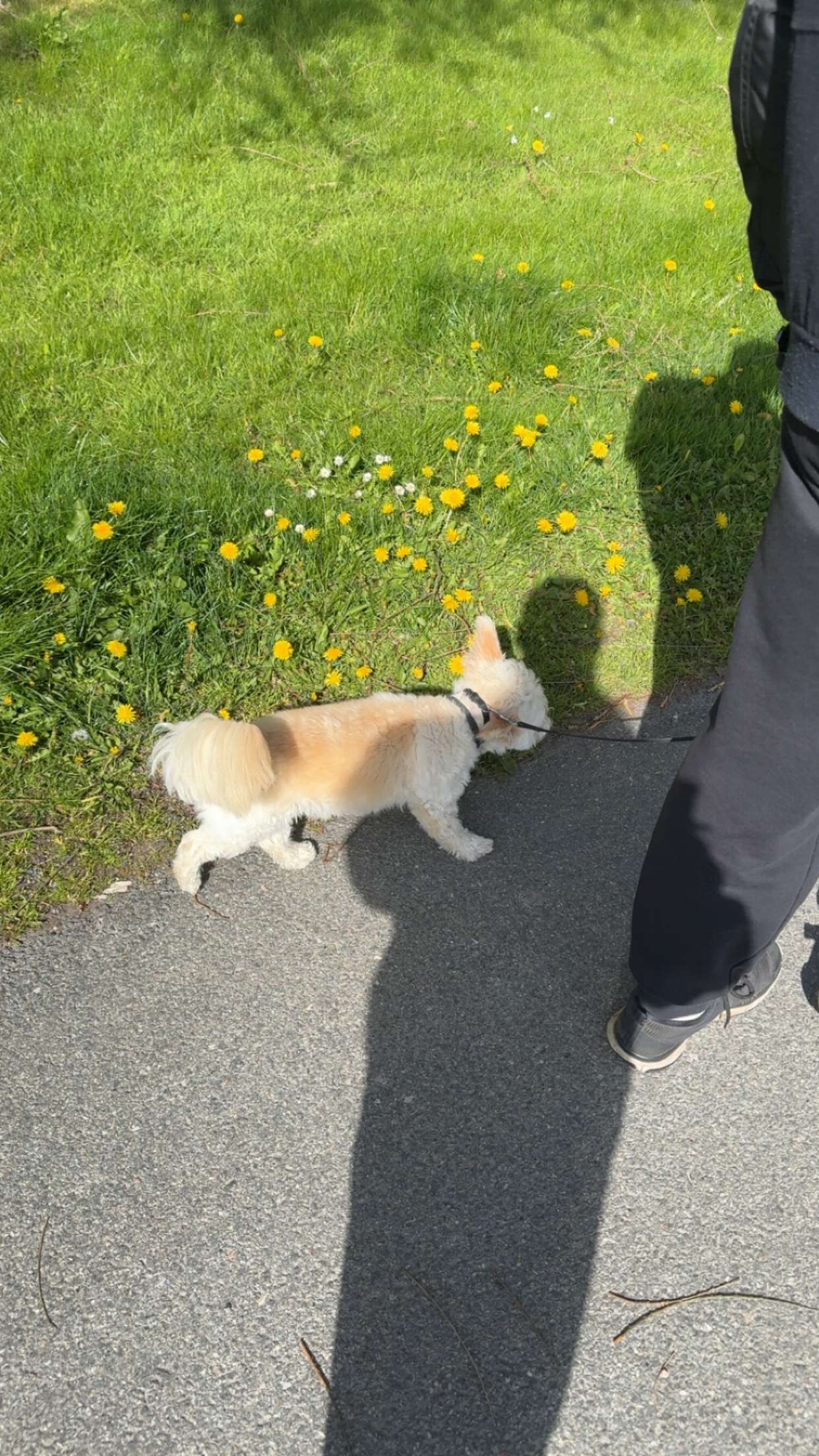 mathilda_bergs snapchat image archive image