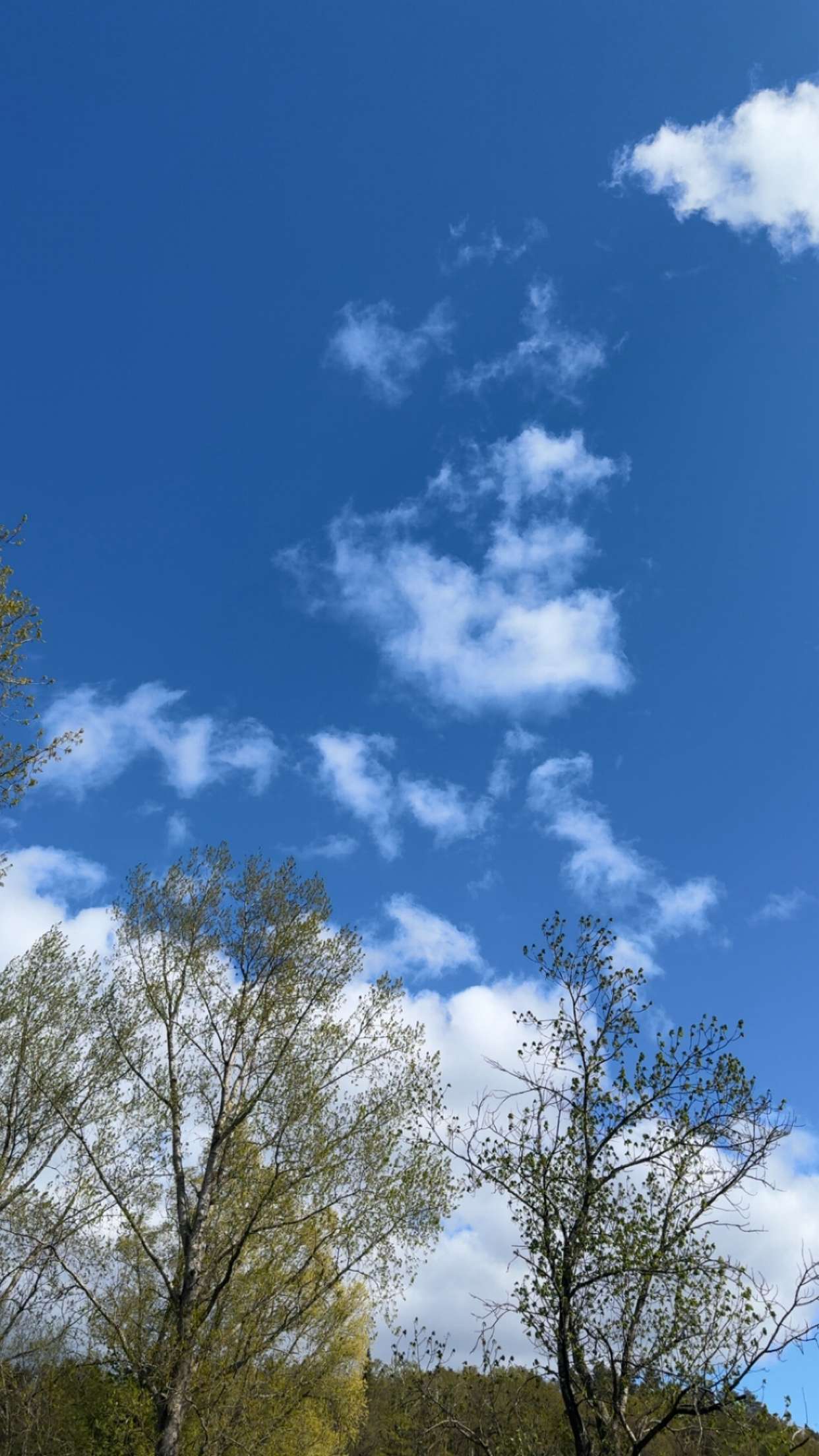 mathilda_bergs snapchat image archive image