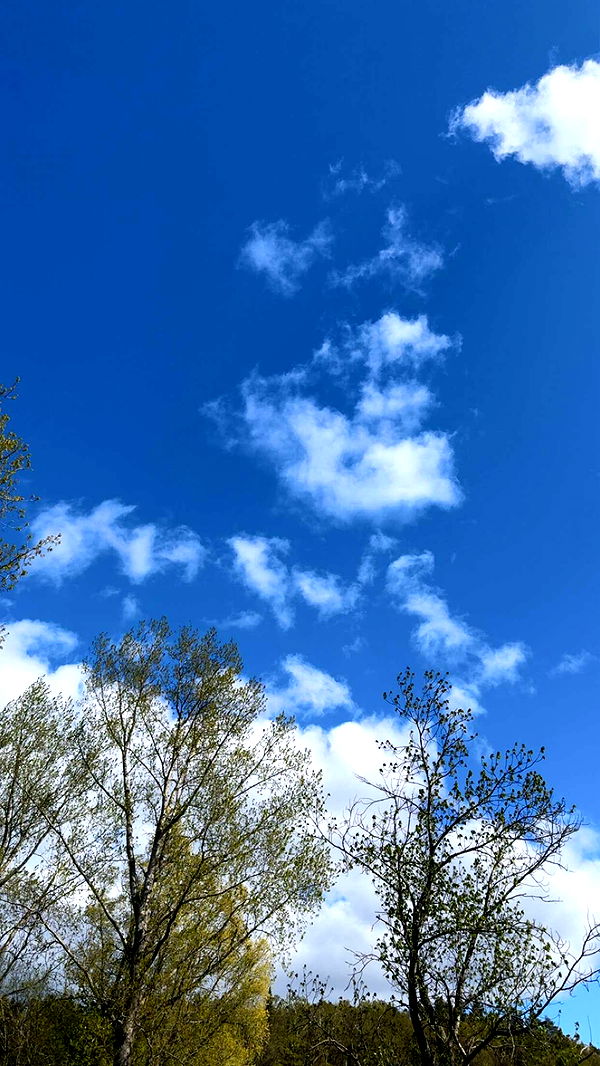 mathilda_bergs image ~ Altpins