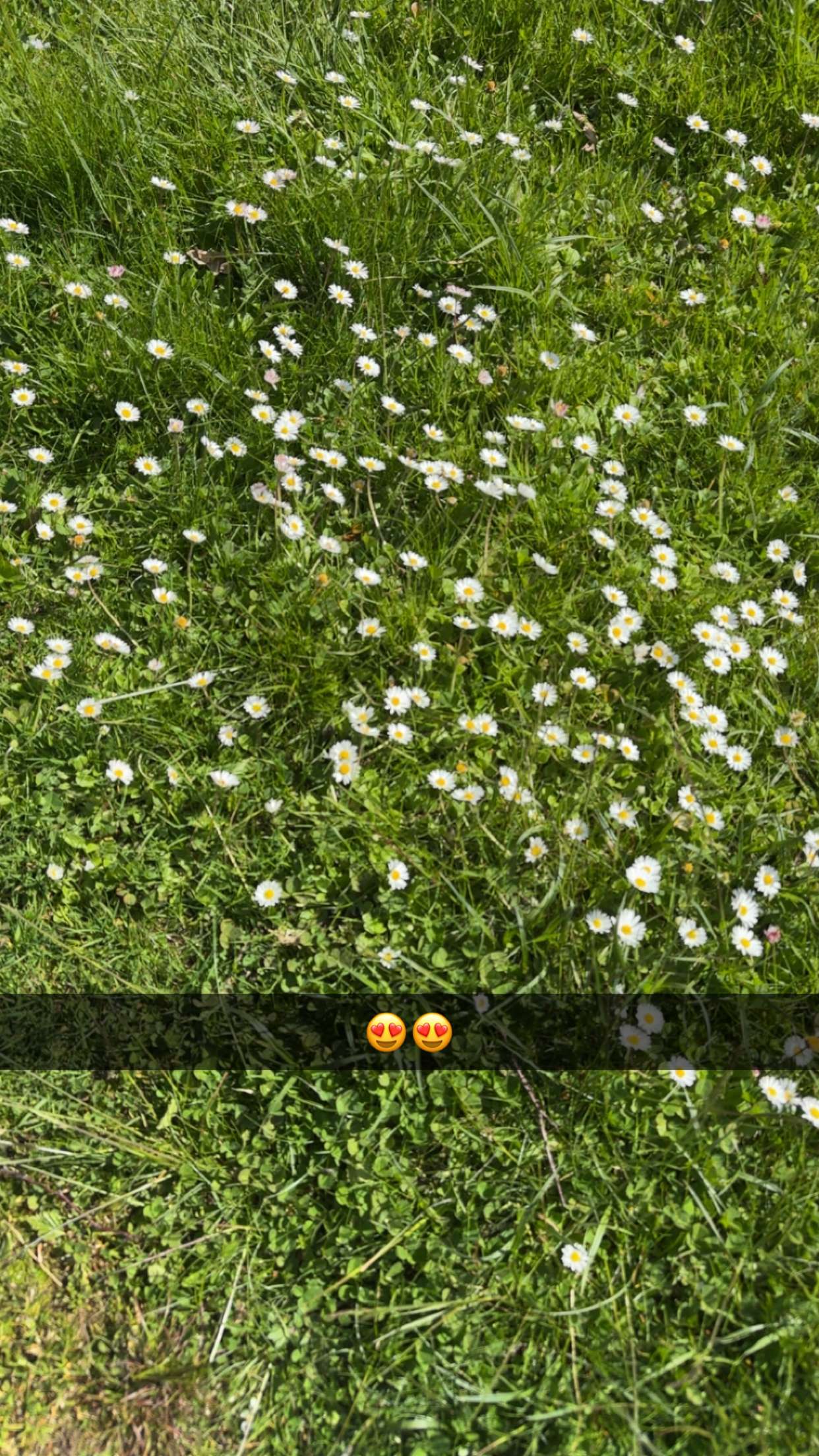 mathilda_bergs snapchat image archive image