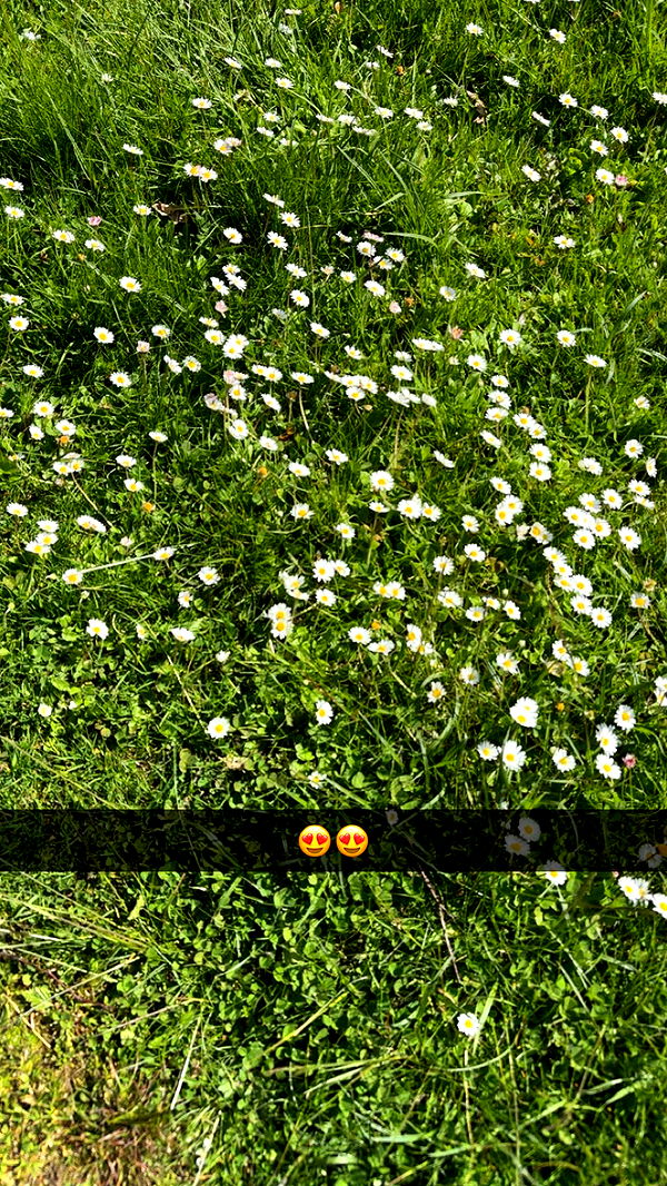 mathilda_bergs image ~ Altpins