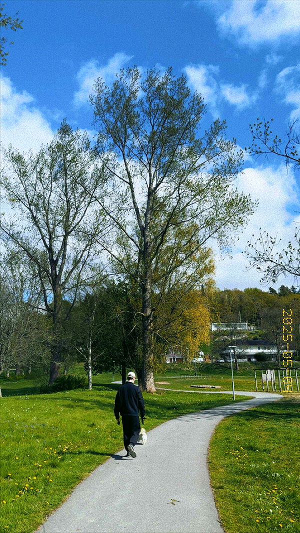 mathilda_bergs image ~ Altpins