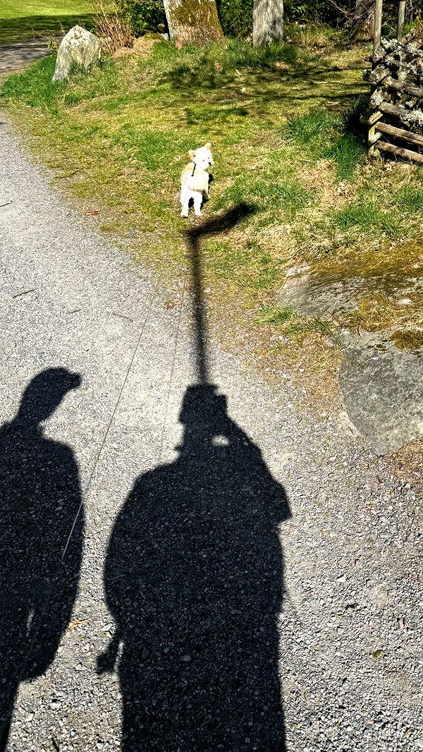 mathilda_bergs image ~ Altpins