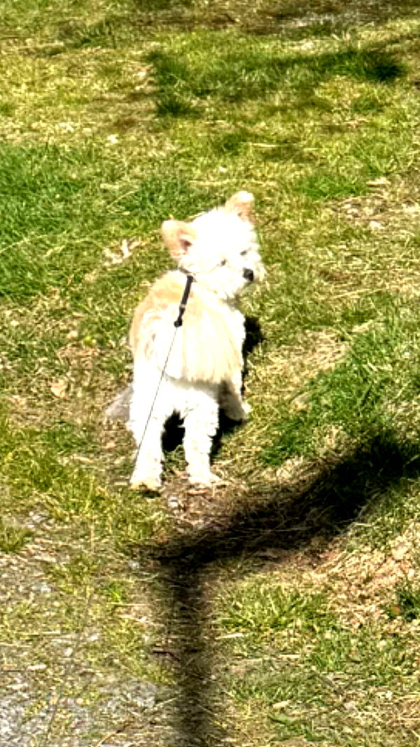 mathilda_bergs image ~ Altpins