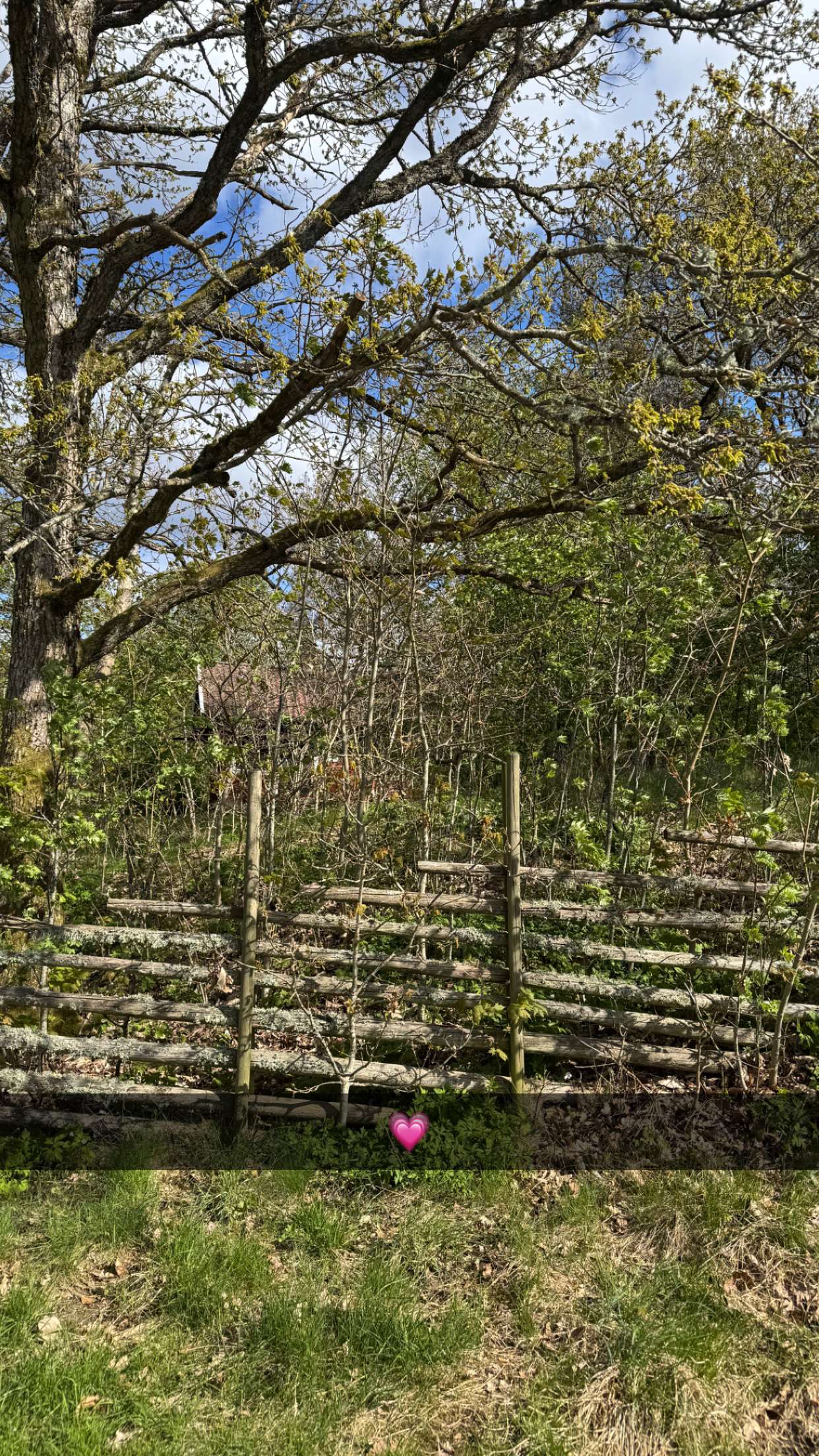 mathilda_bergs snapchat image archive image