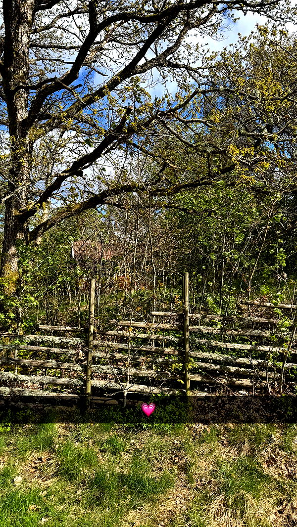 mathilda_bergs image ~ Altpins