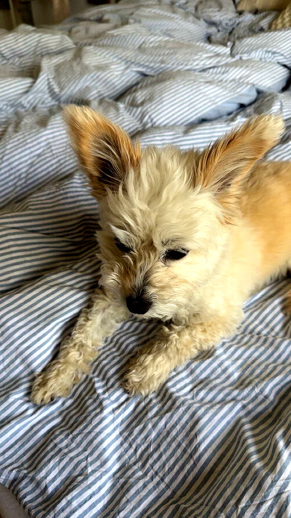 mathilda_bergs image ~ Altpins