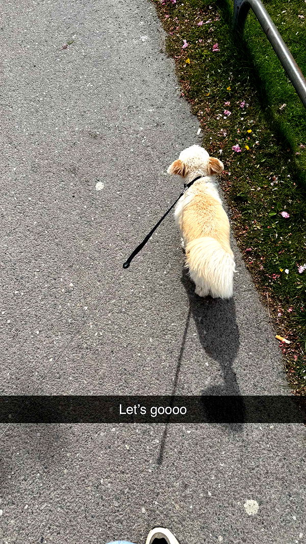 mathilda_bergs image ~ Altpins