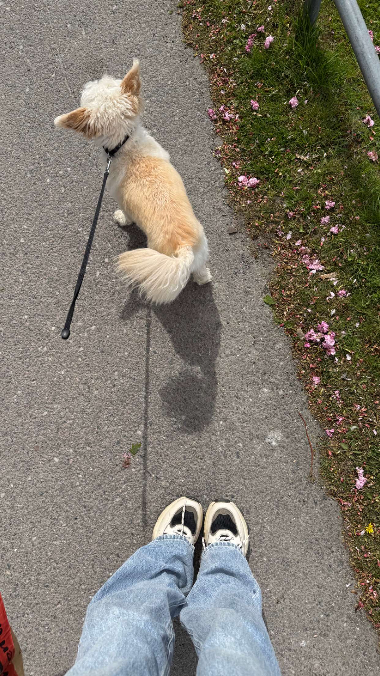 mathilda_bergs snapchat image archive image