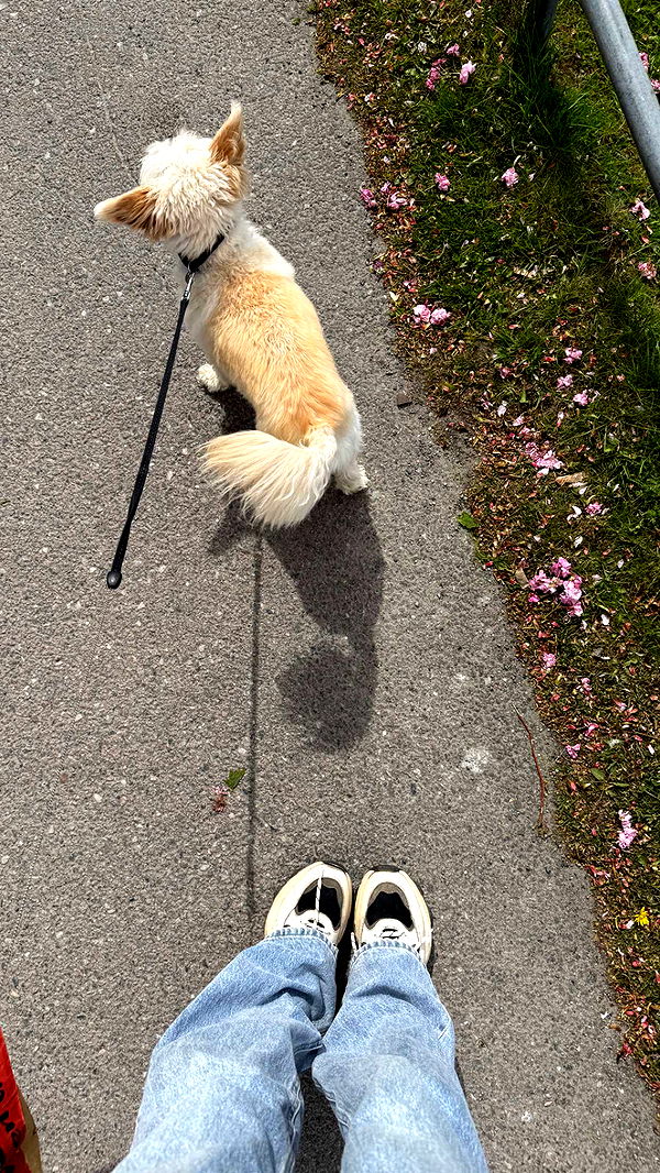 mathilda_bergs image ~ Altpins