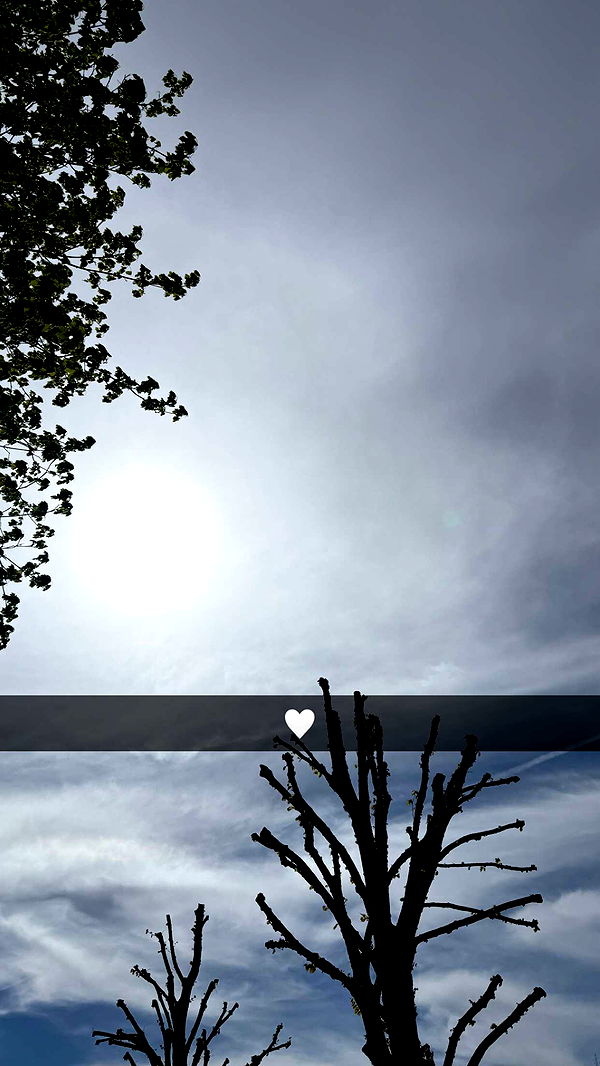 mathilda_bergs image ~ Altpins