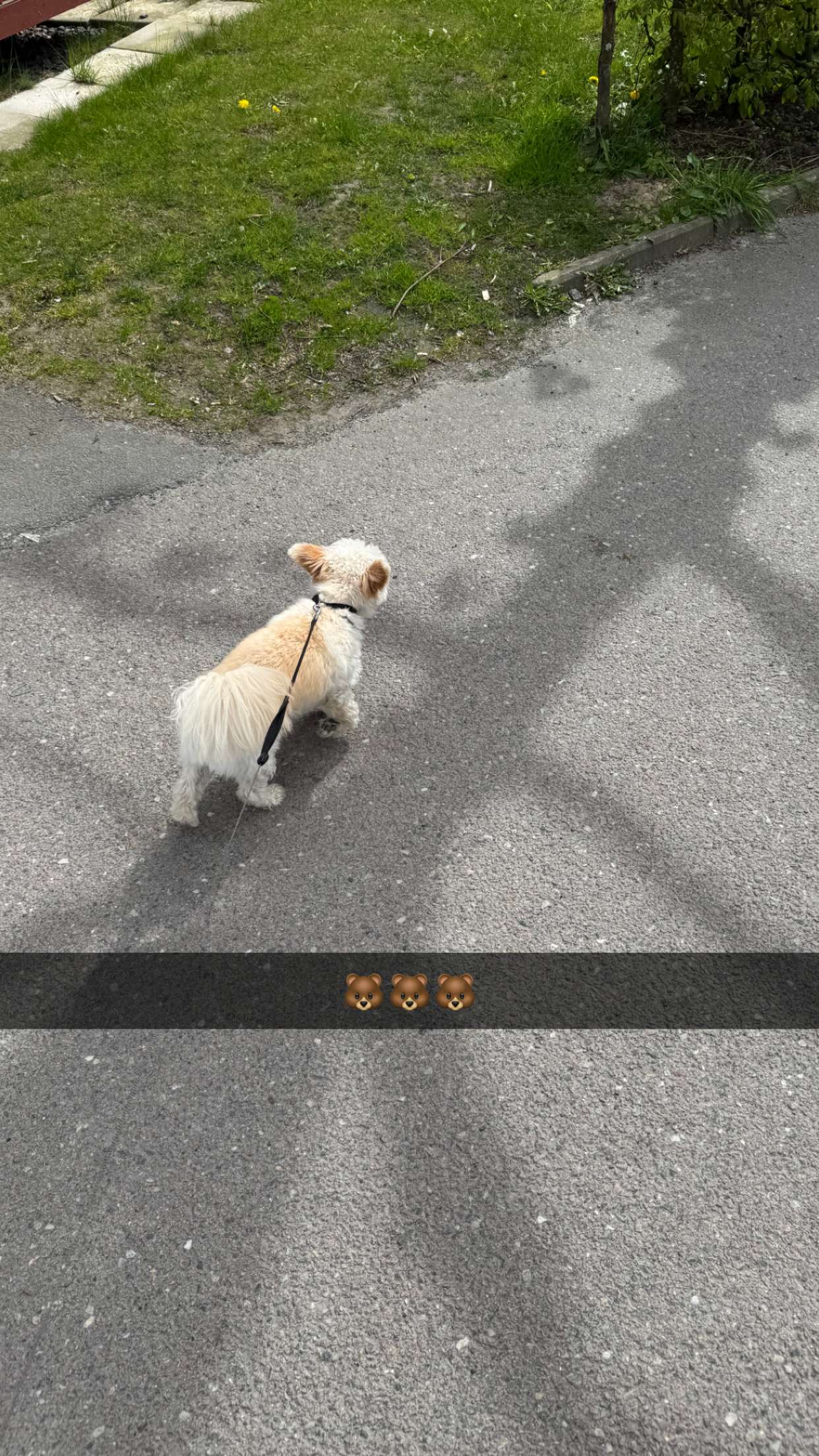 mathilda_bergs snapchat image archive image