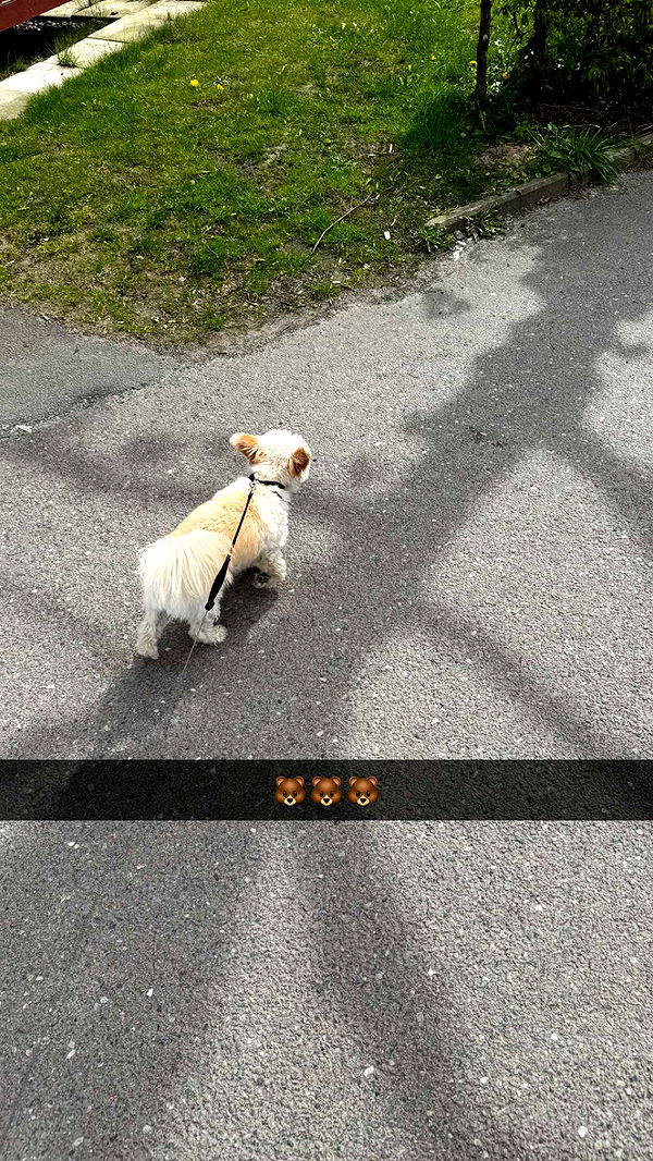 mathilda_bergs image ~ Altpins