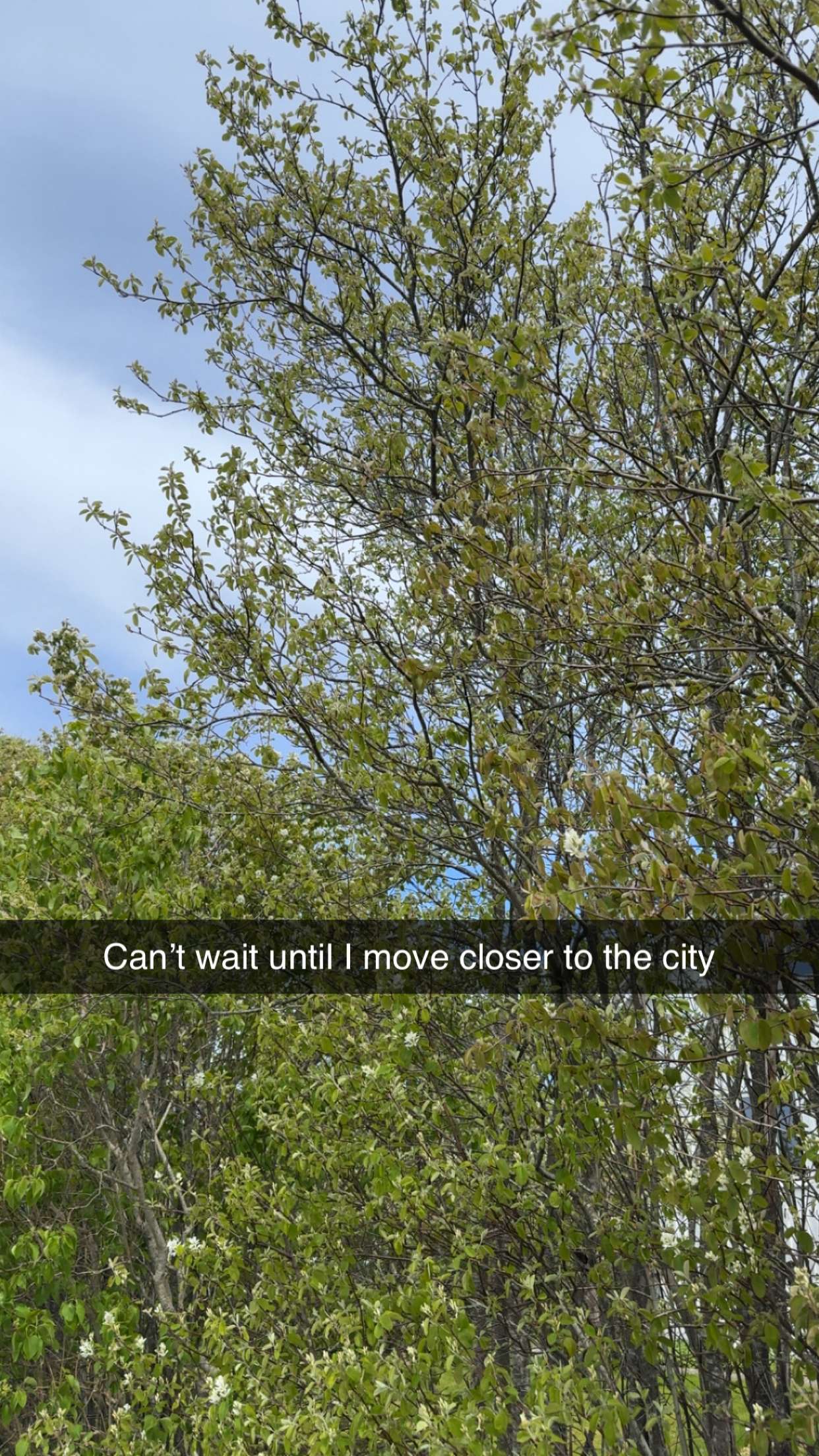 mathilda_bergs snapchat image archive image