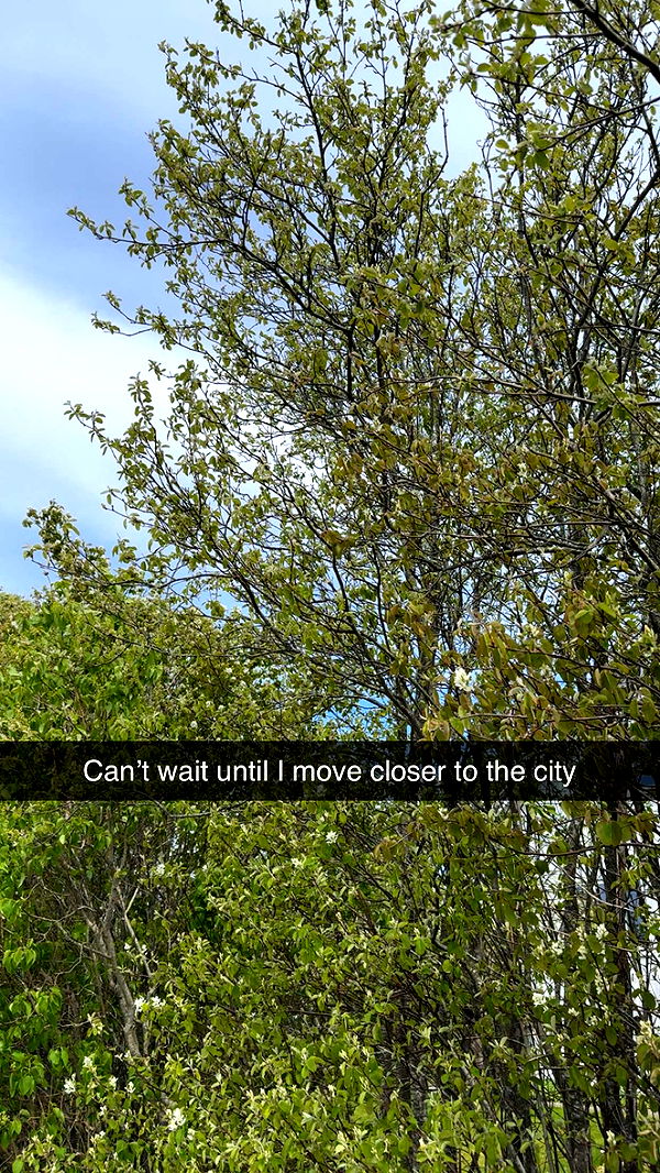 mathilda_bergs image ~ Altpins