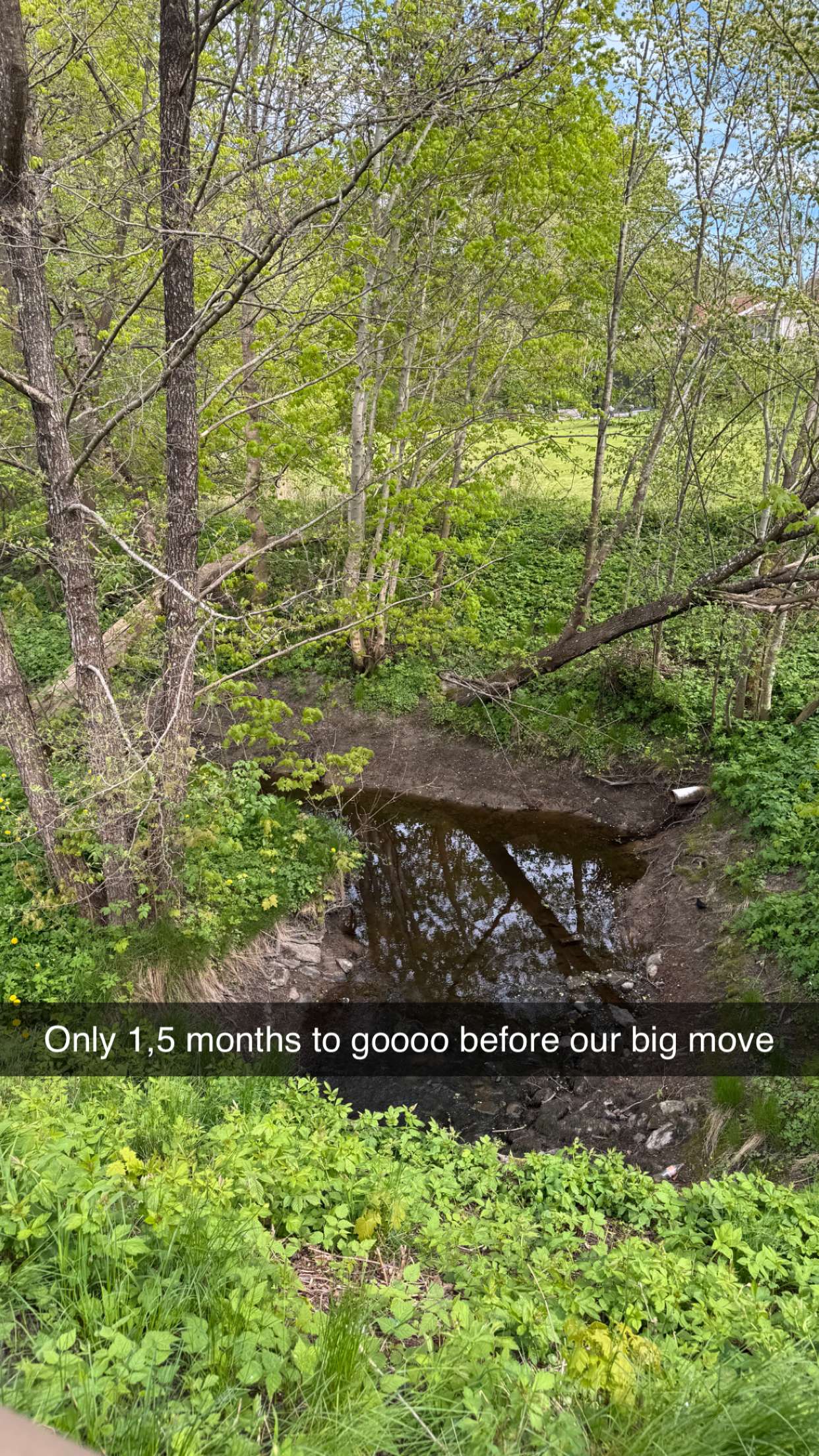 mathilda_bergs snapchat image archive image