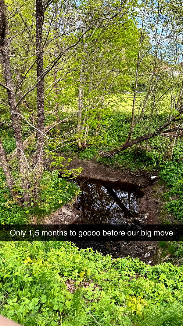 mathilda_bergs image ~ Altpins