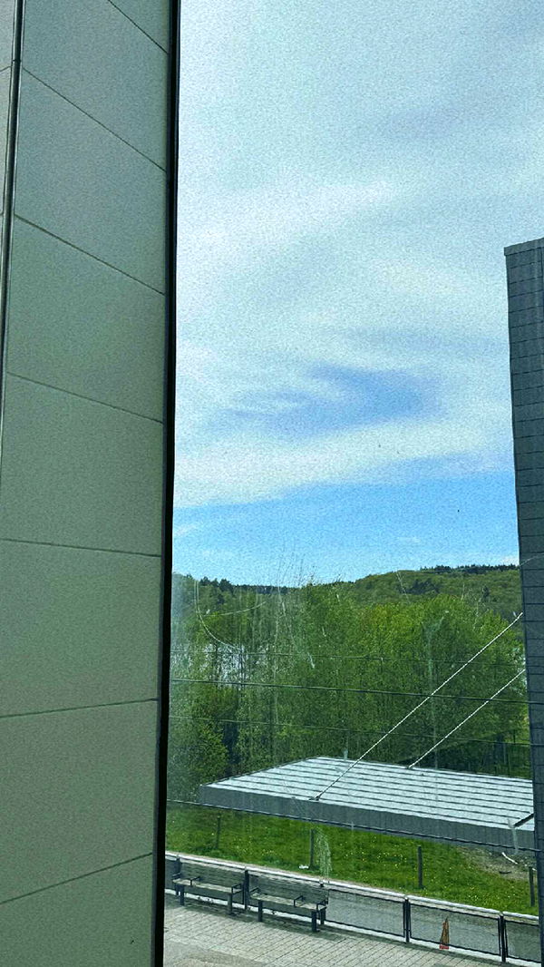 mathilda_bergs image ~ Altpins