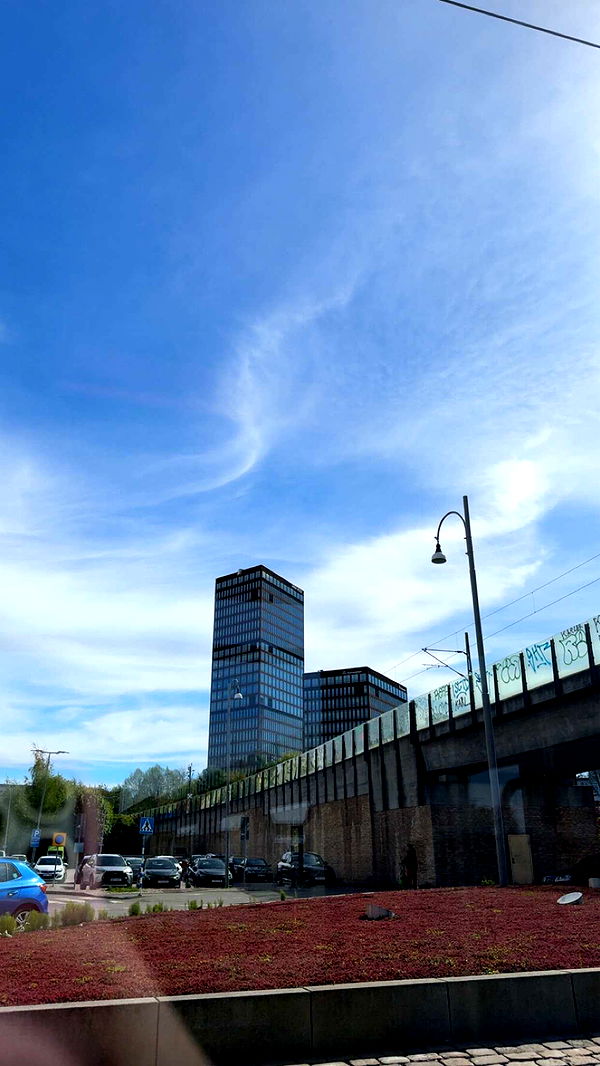 mathilda_bergs image ~ Altpins