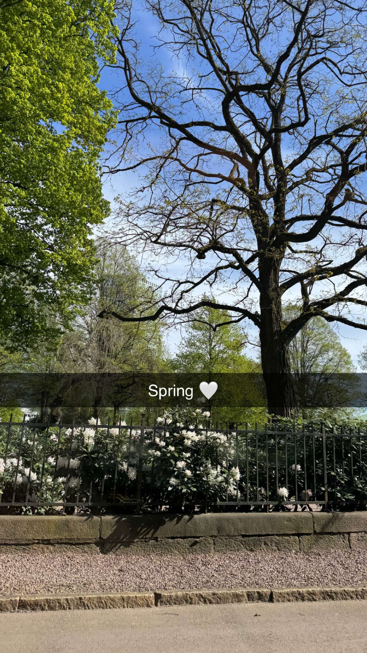 mathilda_bergs snapchat image archive image