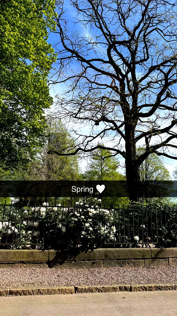 mathilda_bergs image ~ Altpins