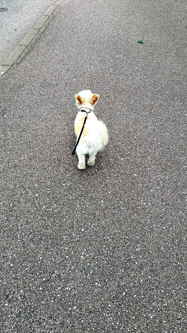 mathilda_bergs image ~ Altpins