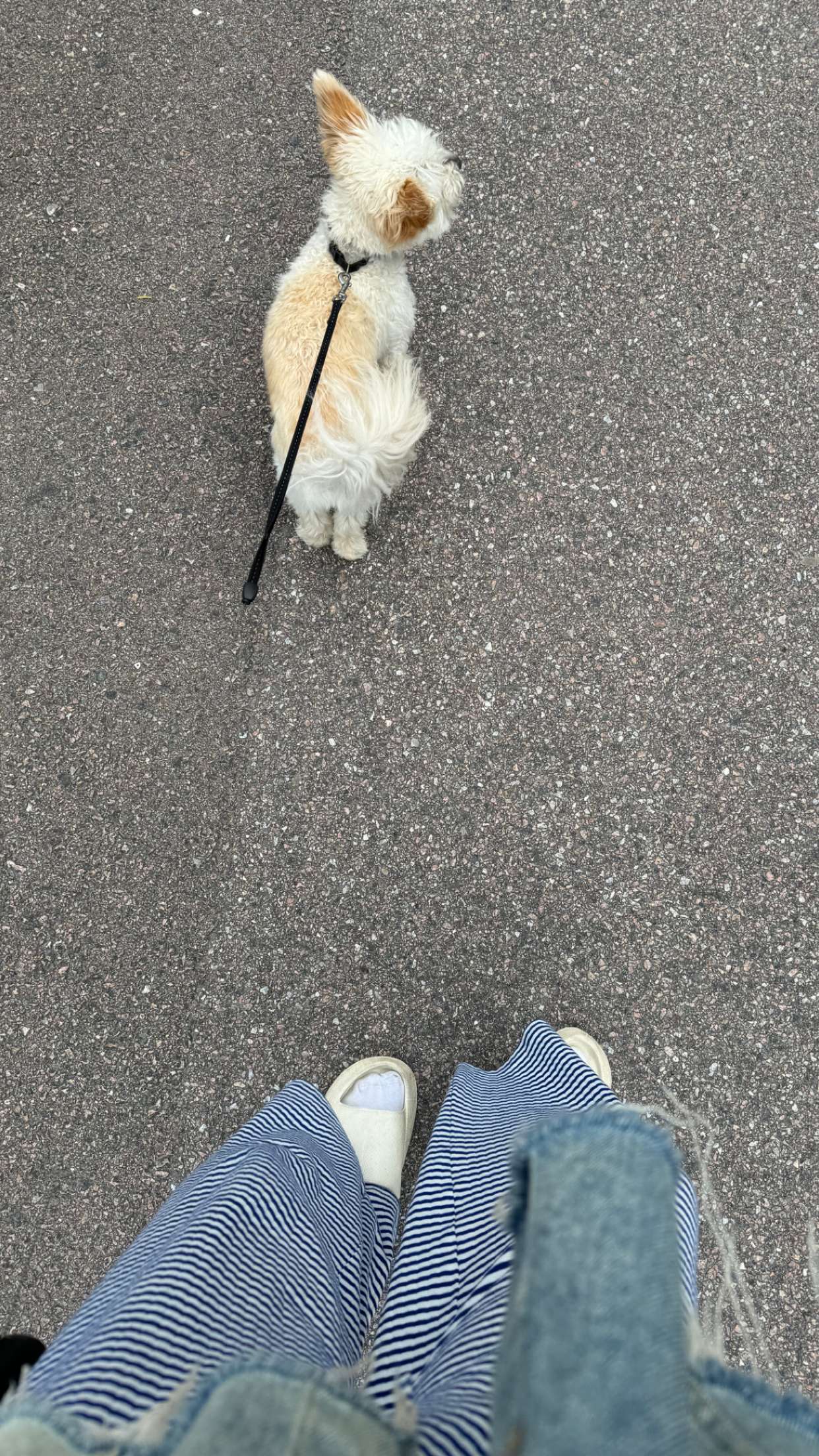 mathilda_bergs snapchat image archive image