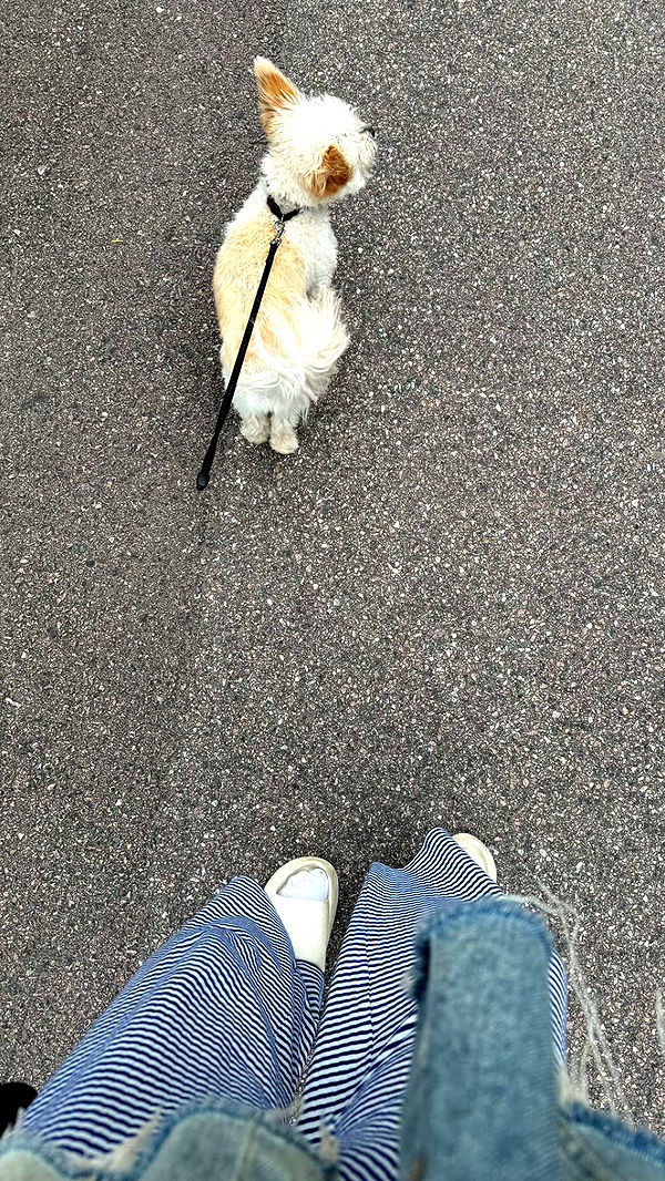 mathilda_bergs image ~ Altpins