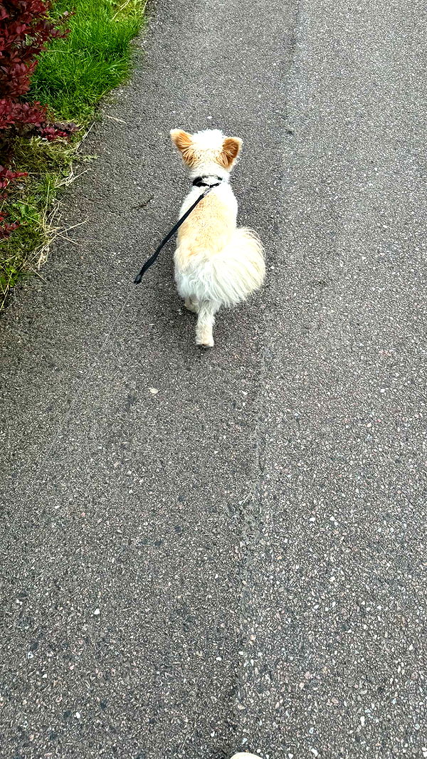 mathilda_bergs image ~ Altpins