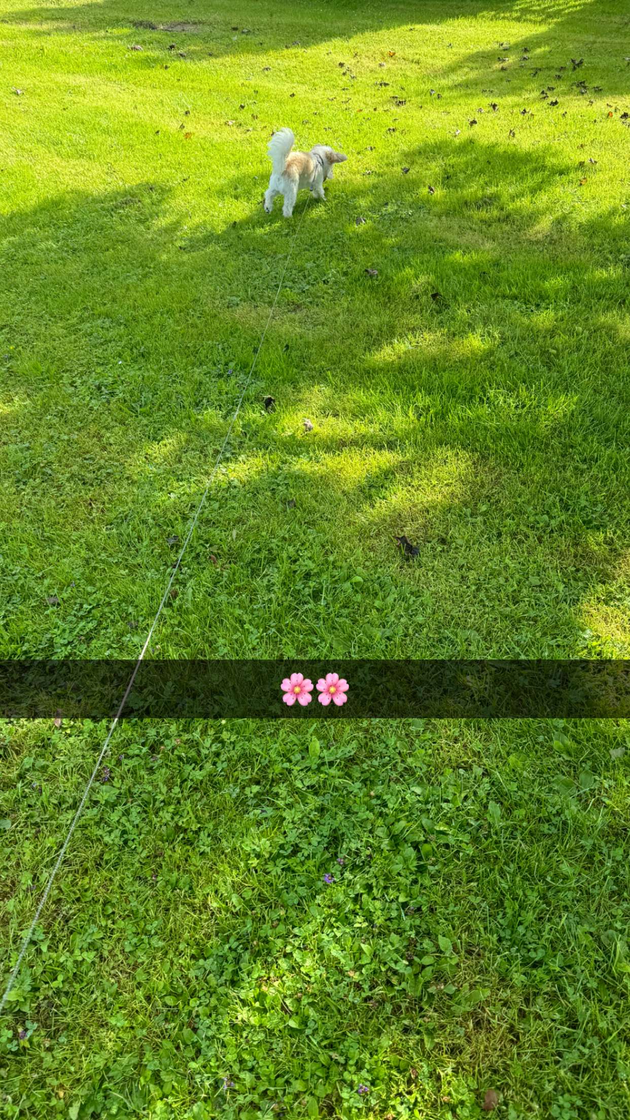 mathilda_bergs snapchat image archive image