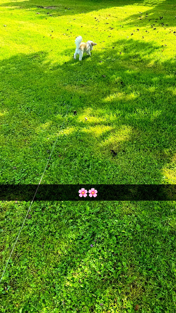 mathilda_bergs image ~ Altpins