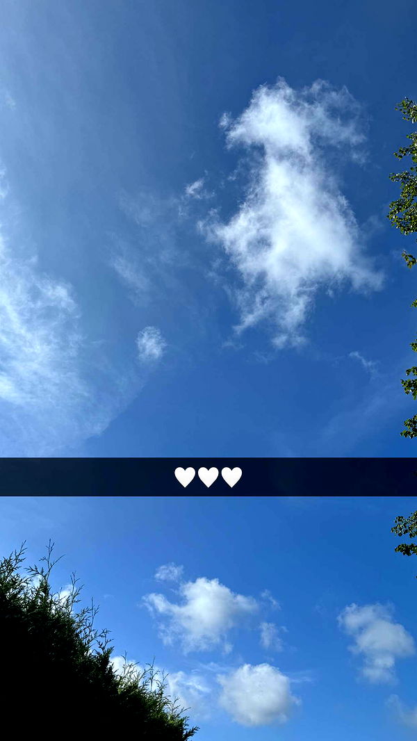 mathilda_bergs image ~ Altpins