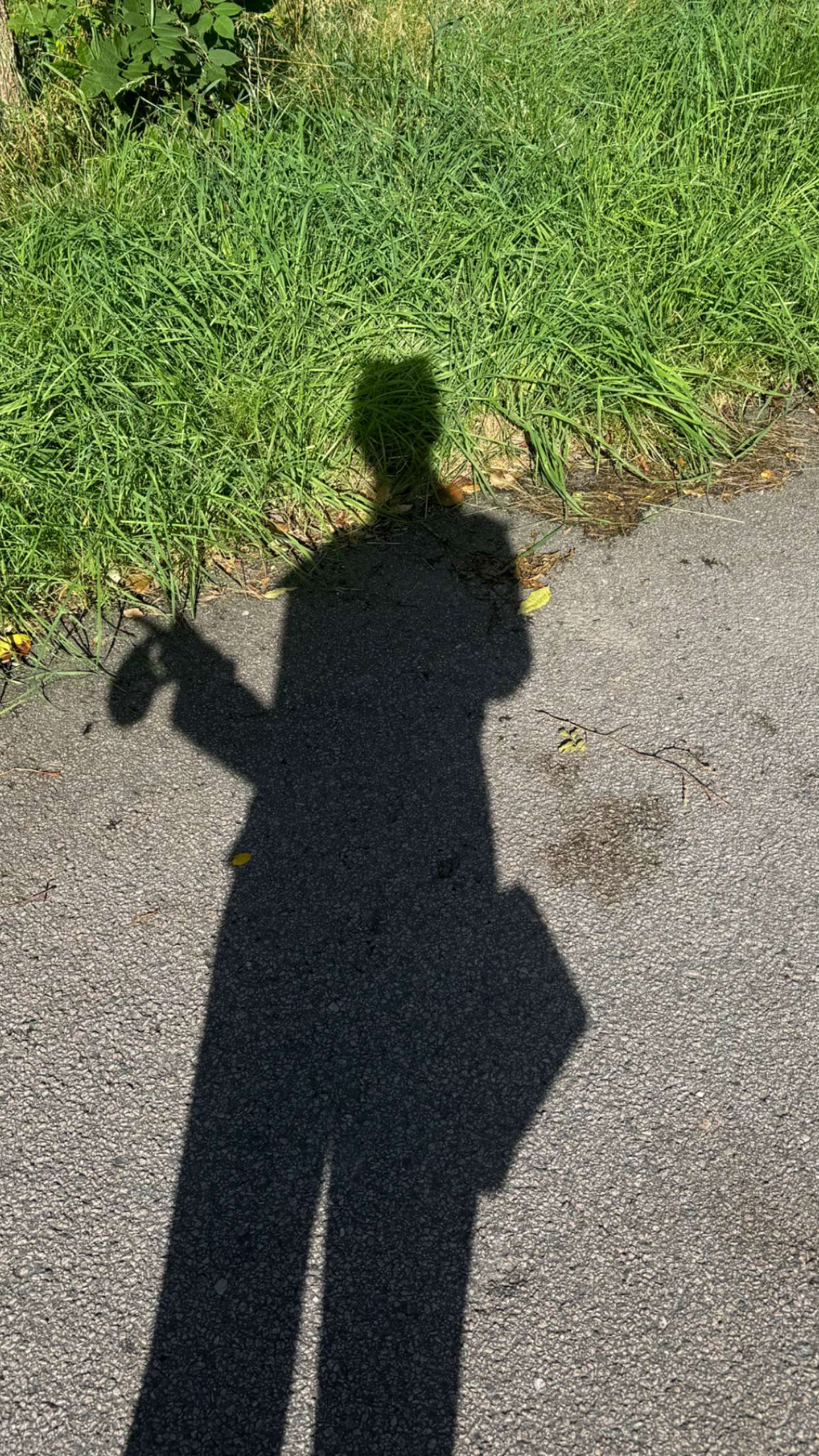 mathilda_bergs snapchat image archive image