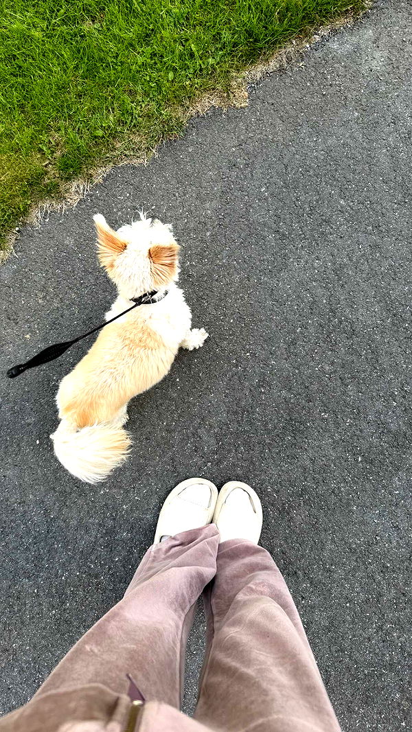 mathilda_bergs image ~ Altpins