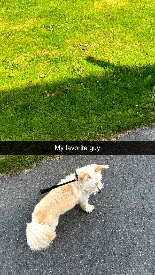 mathilda_bergs image ~ Altpins