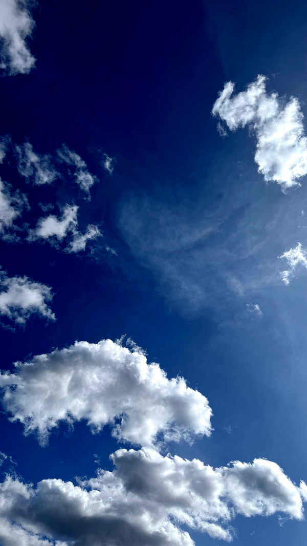 mathilda_bergs image ~ Altpins