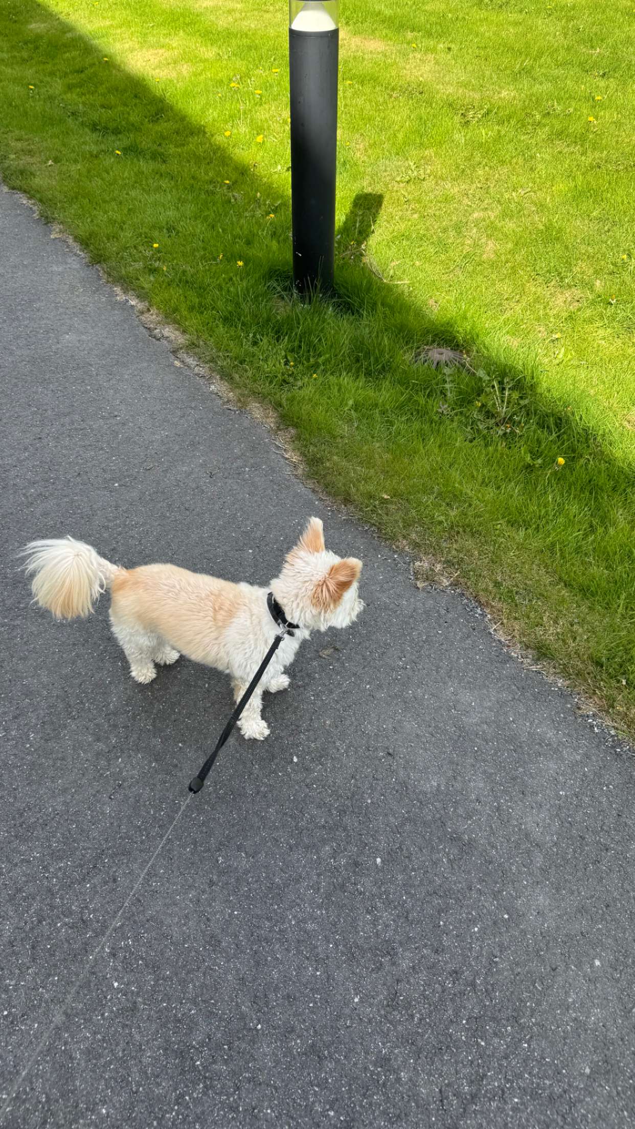 mathilda_bergs snapchat image archive image