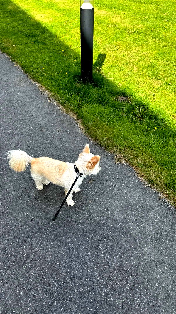 mathilda_bergs image ~ Altpins