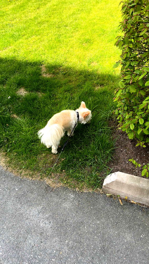 mathilda_bergs image ~ Altpins