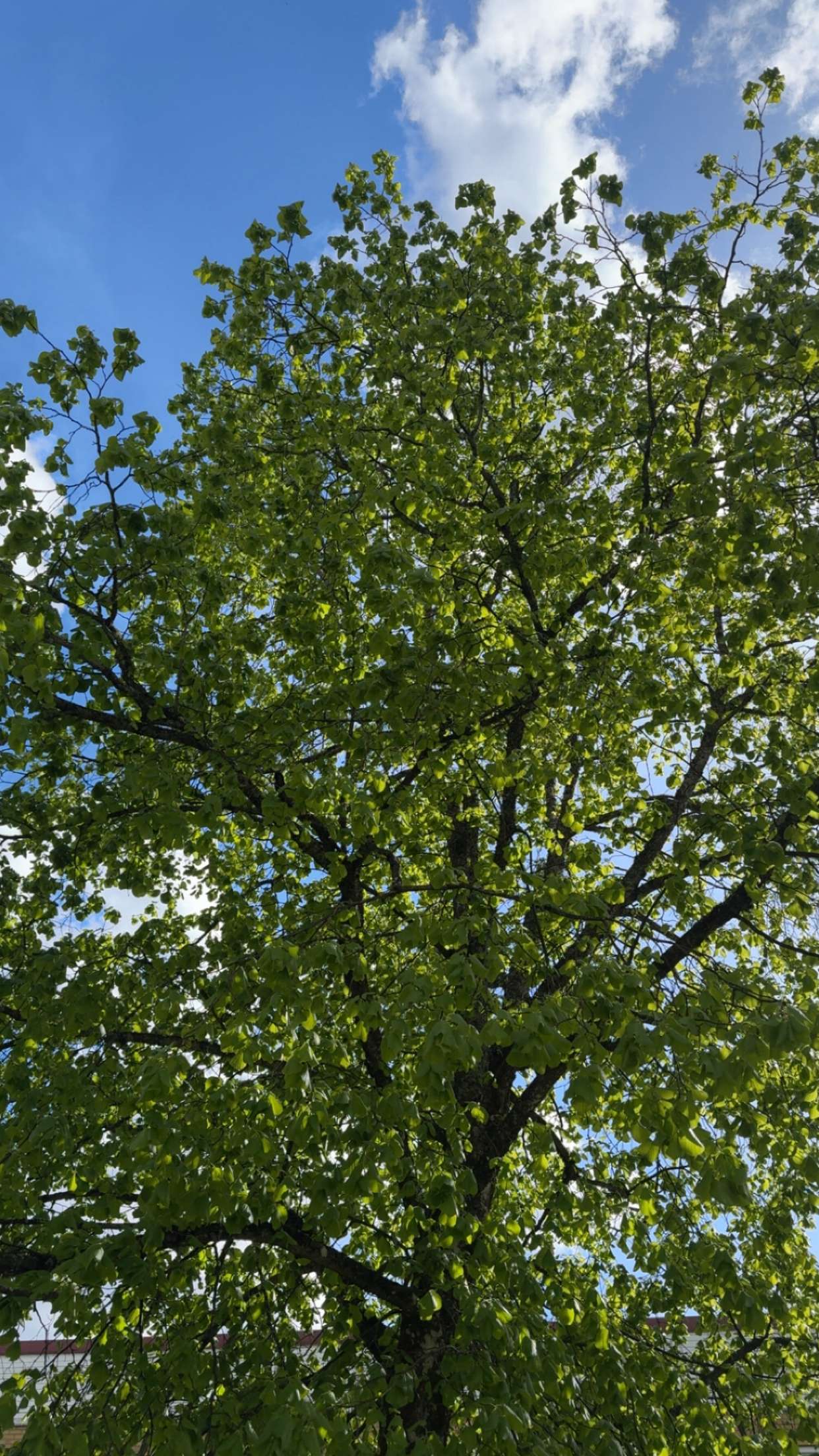 mathilda_bergs snapchat image archive image