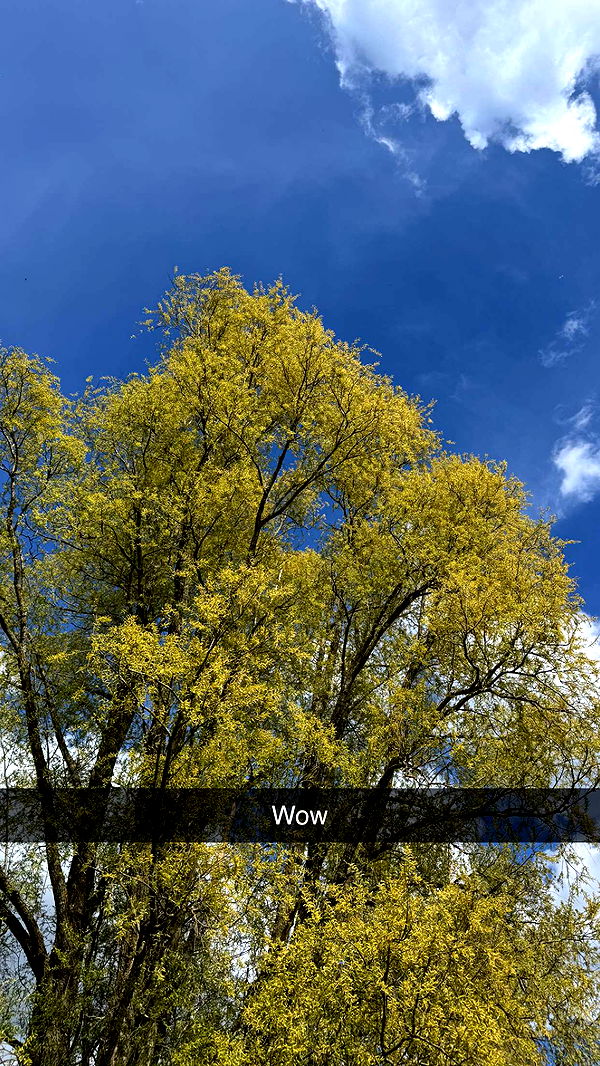 mathilda_bergs image ~ Altpins