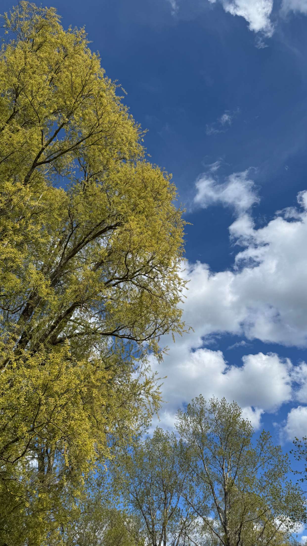 mathilda_bergs snapchat image archive image