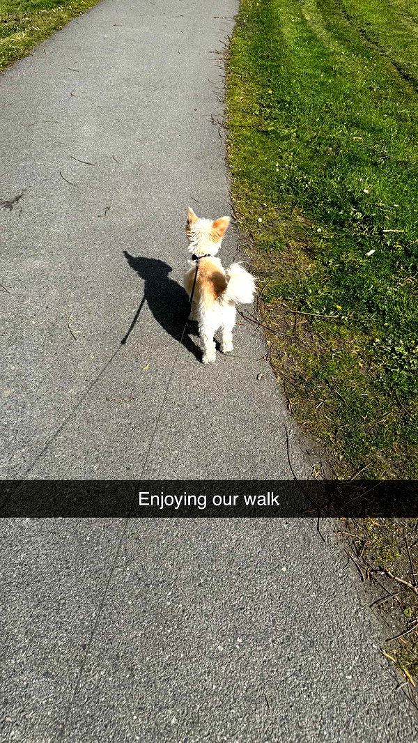 mathilda_bergs image ~ Altpins