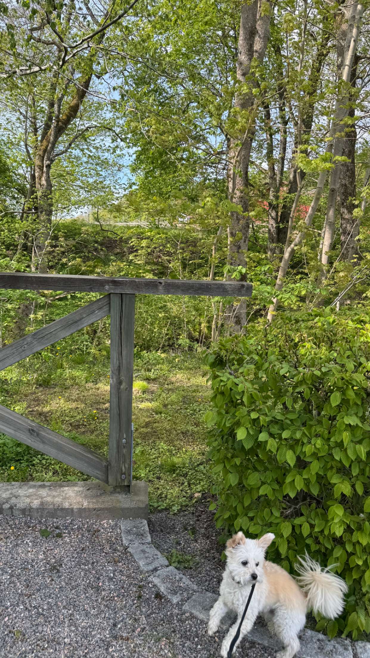 mathilda_bergs snapchat image archive image