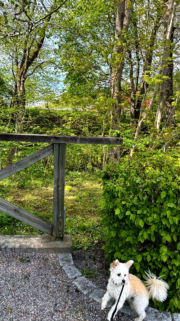 mathilda_bergs image ~ Altpins