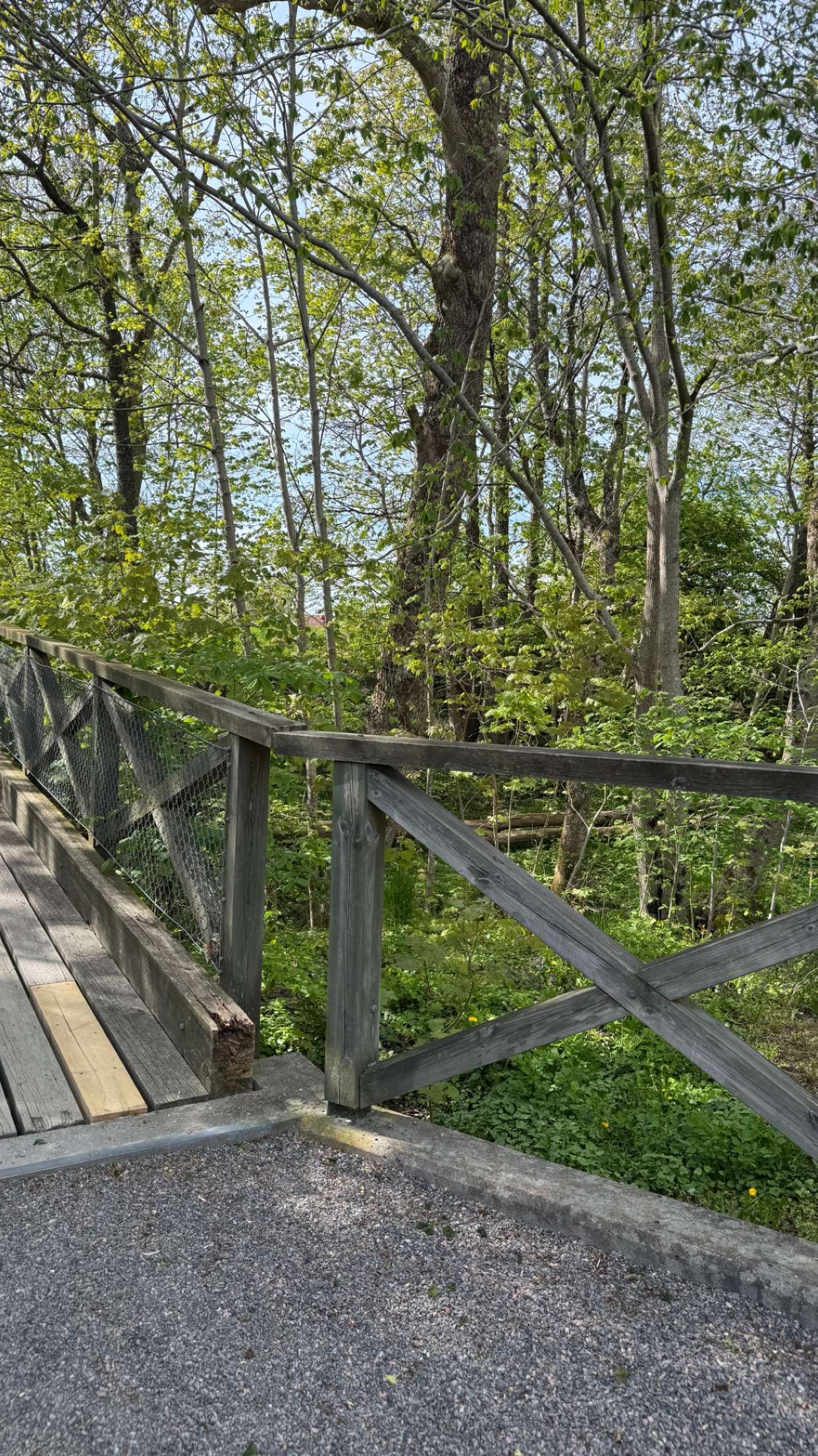 mathilda_bergs snapchat image archive image