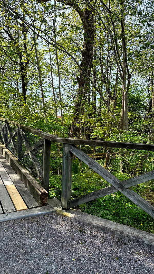 mathilda_bergs image ~ Altpins