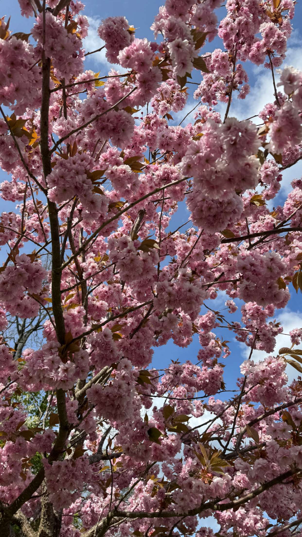 mathilda_bergs snapchat image archive image